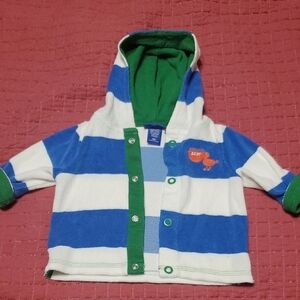 🐻 OshKosh B'gosh Blue and Green Striped Hoodie